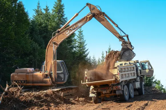 Lupin Casino Podrška